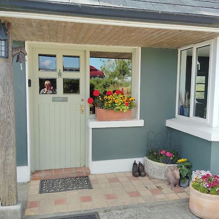 Dromelihy House Stud Guest House Doonbeg Bagian luar foto