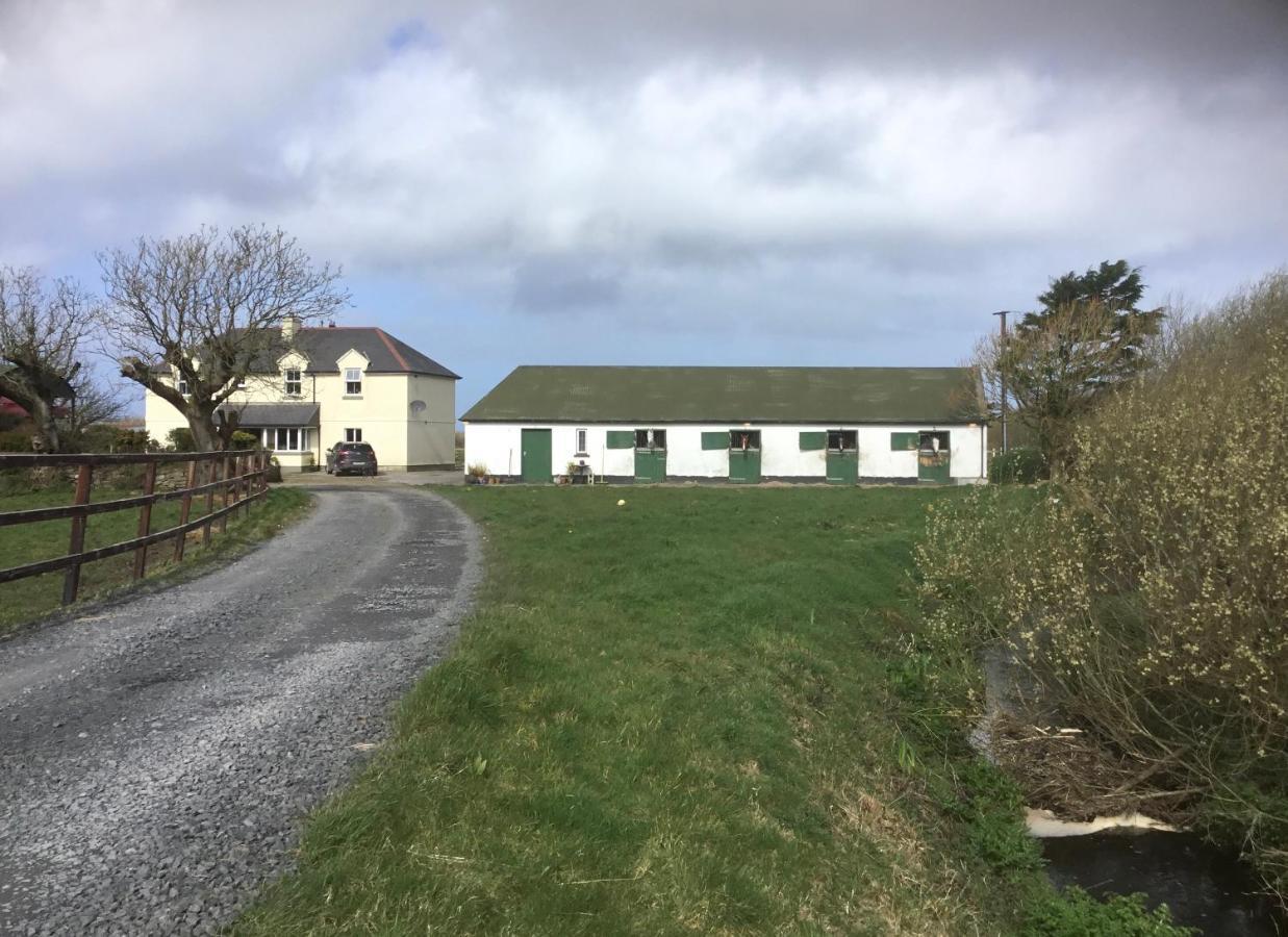 Dromelihy House Stud Guest House Doonbeg Bagian luar foto