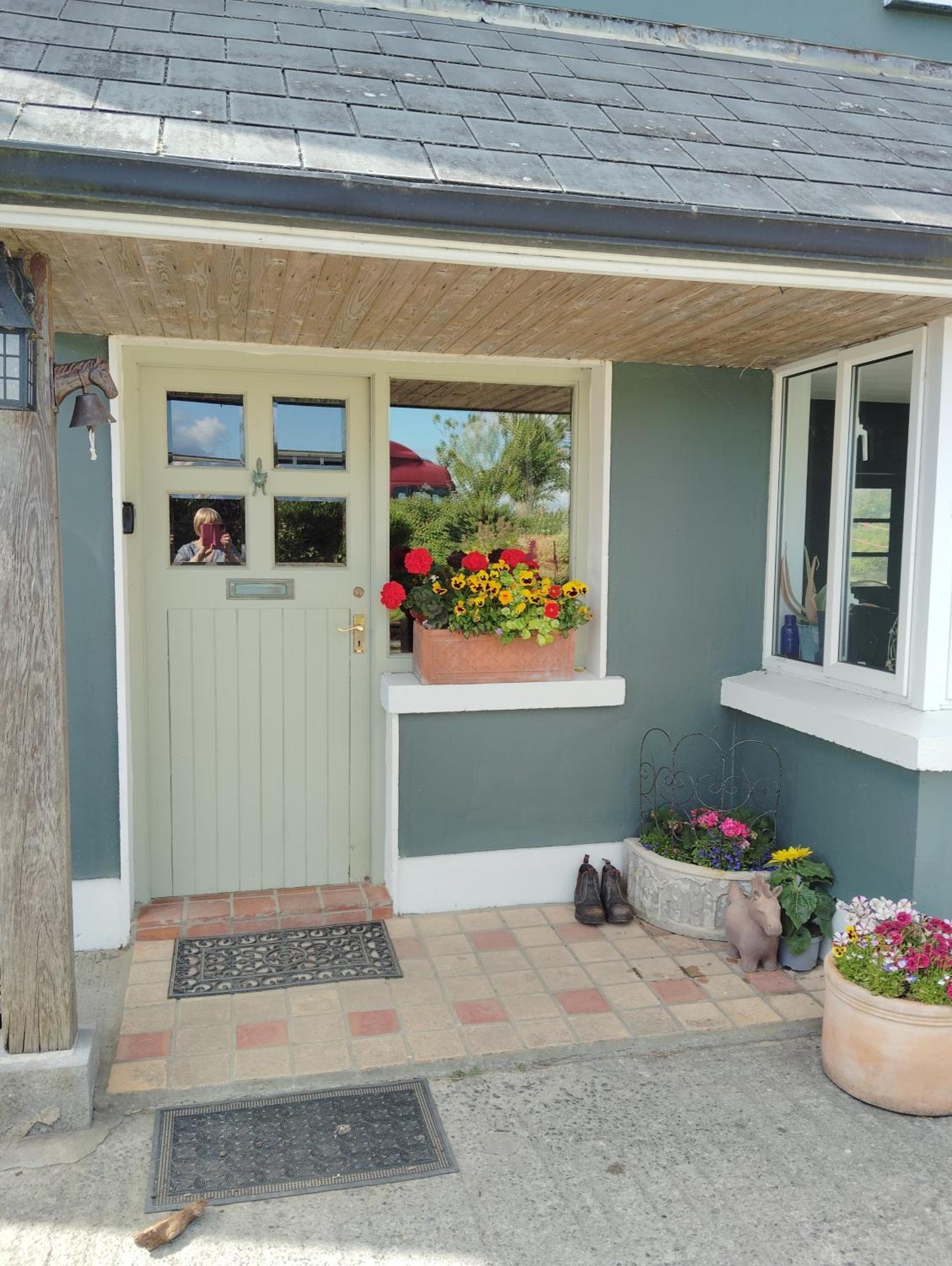 Dromelihy House Stud Guest House Doonbeg Bagian luar foto