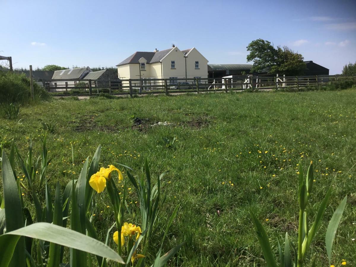 Dromelihy House Stud Guest House Doonbeg Bagian luar foto
