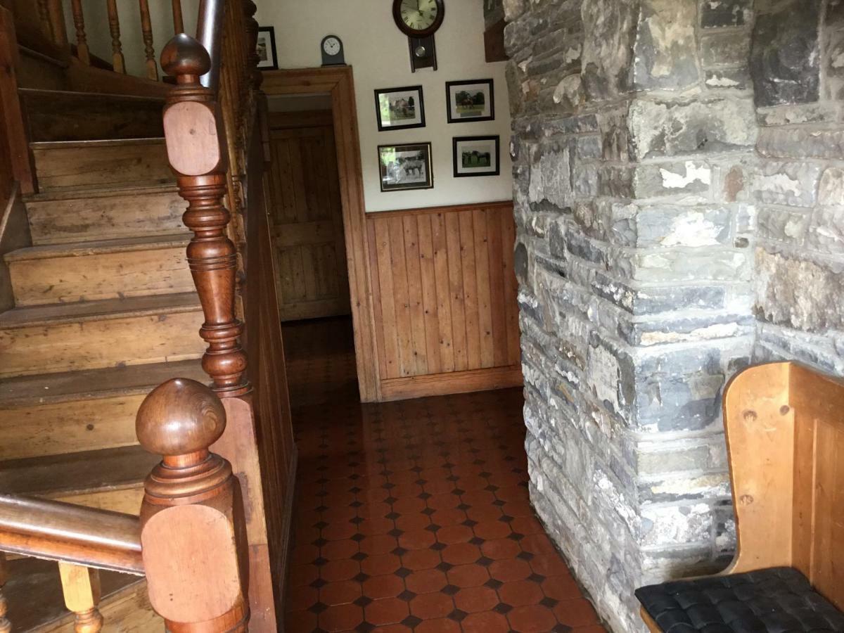 Dromelihy House Stud Guest House Doonbeg Bagian luar foto