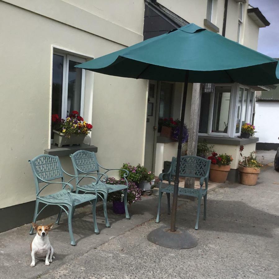 Dromelihy House Stud Guest House Doonbeg Bagian luar foto