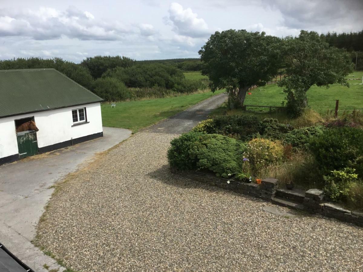 Dromelihy House Stud Guest House Doonbeg Bagian luar foto