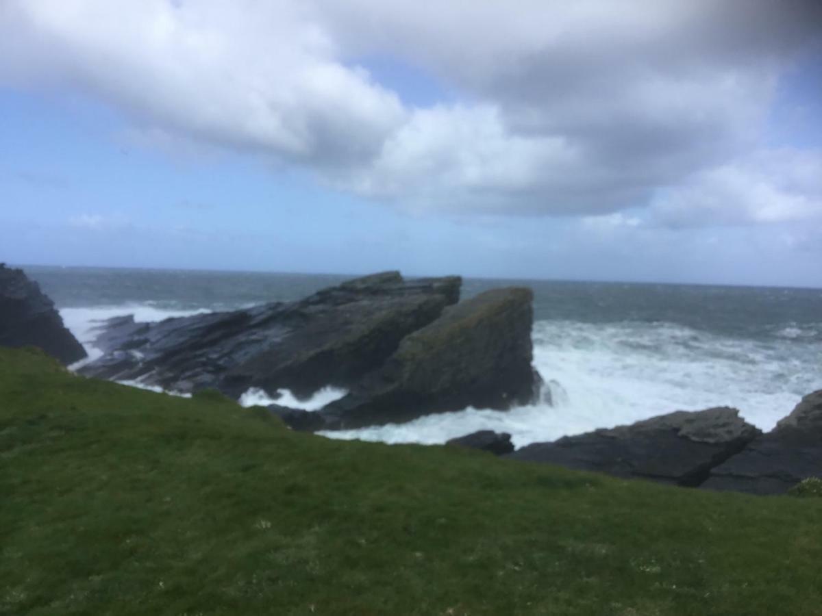 Dromelihy House Stud Guest House Doonbeg Bagian luar foto