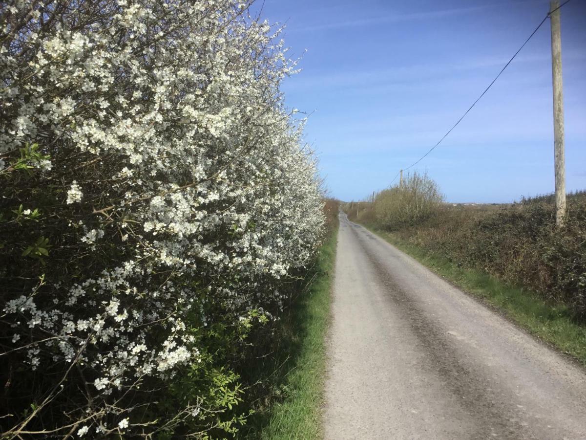Dromelihy House Stud Guest House Doonbeg Bagian luar foto
