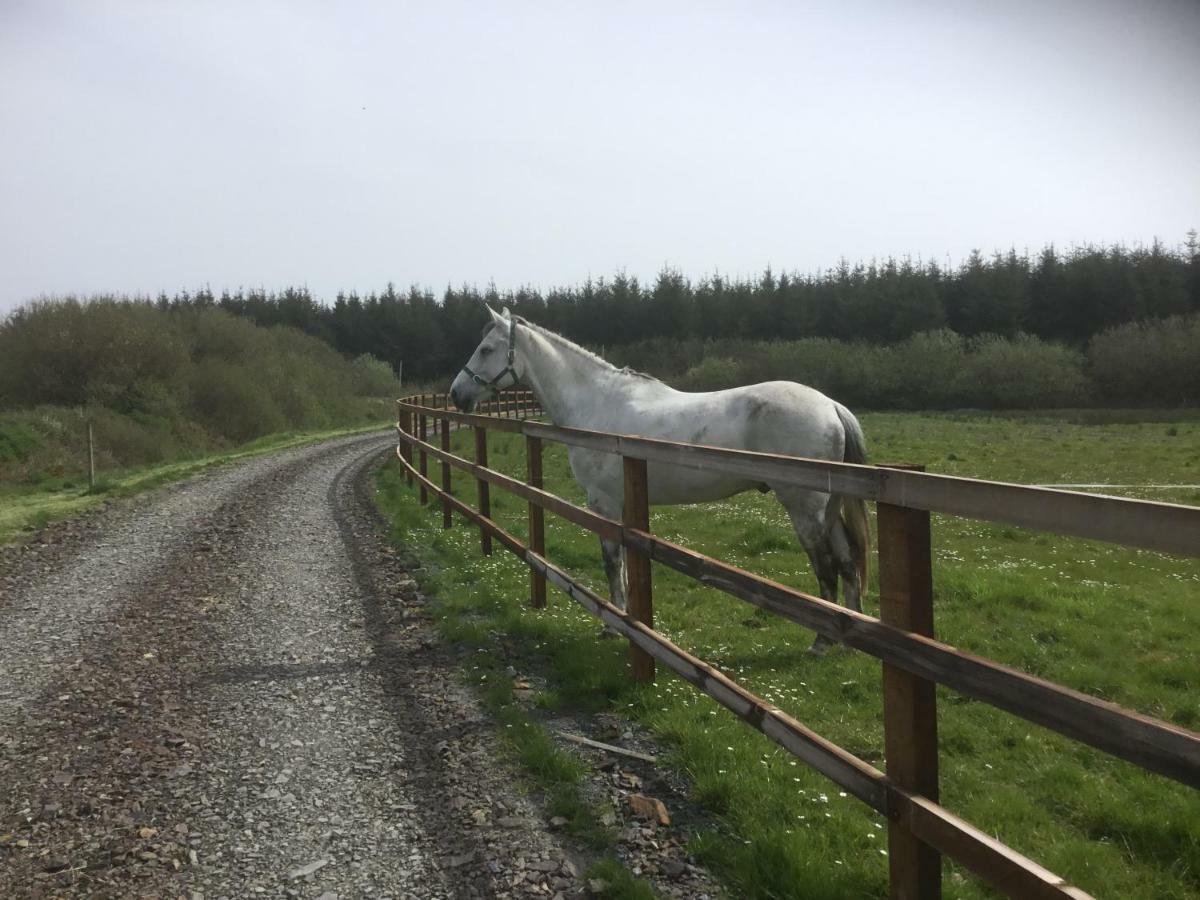 Dromelihy House Stud Guest House Doonbeg Bagian luar foto